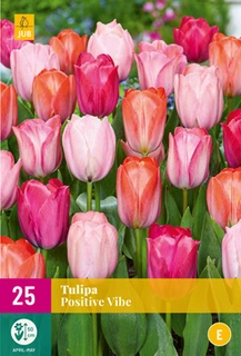 Tulipa Positive Vibe - 25 bloembollen
