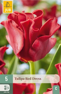 Tulipa Red Dress