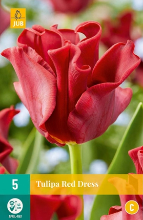 Tulipa Red Dress