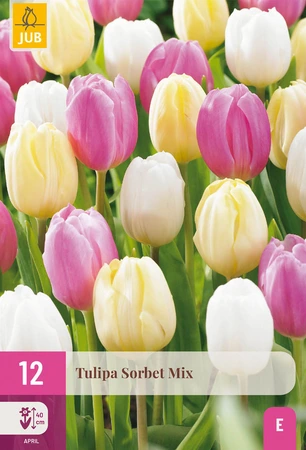 Tulipa Sorbet Mix