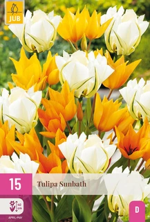 Tulipa Sunbath - 15 bloembollen