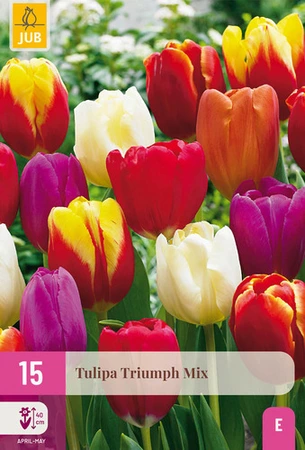 Tulipa Triumph Mix - 15 bloembollen