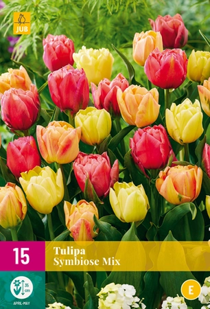 Tulpen Symbiose Mix - 15 bloembollen