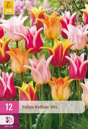 Tulpenbollen Ballade Mix - 12 stuks