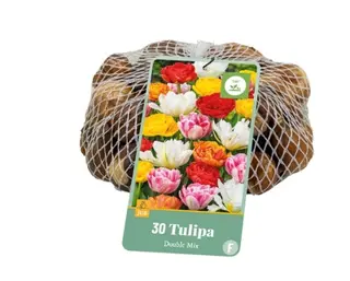 Tulpenbollen Dubbel Mix - 30 stuks