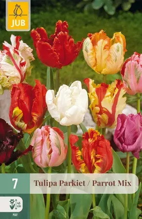 Tulpenbollen Parkiet Mix - 7 stuks