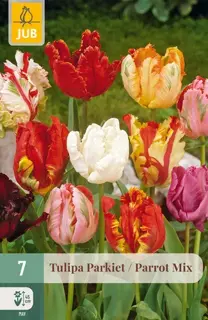 Tulpenbollen Parkiet Mix - 7 stuks