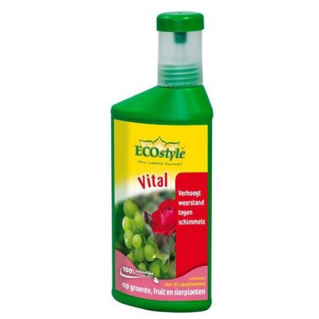 Ecostyle Vital concentraat 250 ml