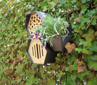 Vlinderhuisje Hive Antraciet - afbeelding 2