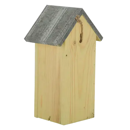 Vlinderkast - afbeelding 3