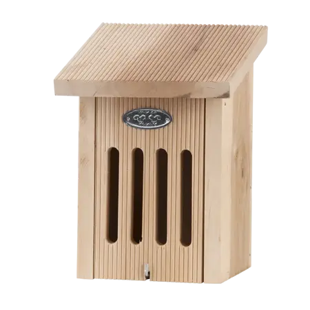 Vlinderkast in cadeauverpakking - afbeelding 3