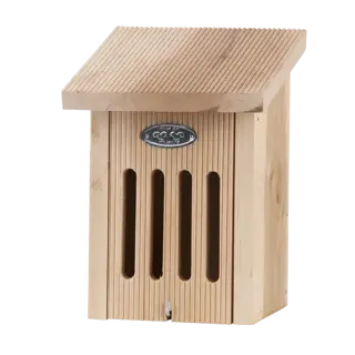 Vlinderkast in cadeauverpakking - afbeelding 3