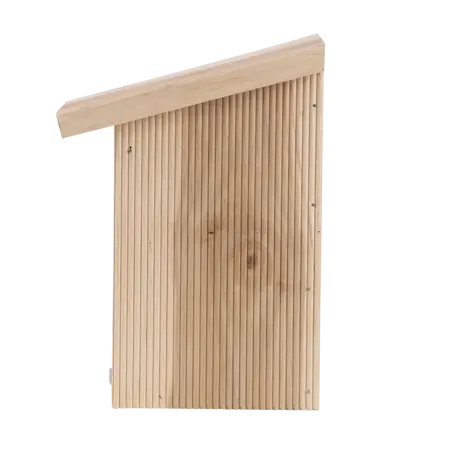 Vlinderkast in cadeauverpakking - afbeelding 4