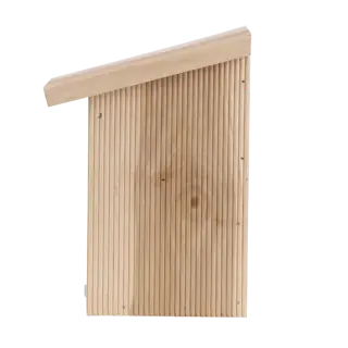 Vlinderkast in cadeauverpakking - afbeelding 4