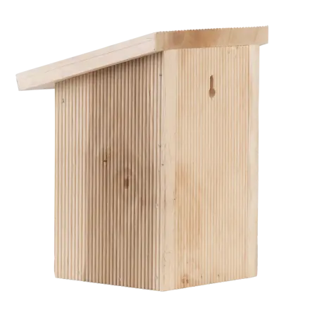 Vlinderkast in cadeauverpakking - afbeelding 5
