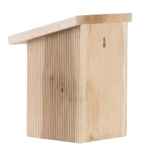 Vlinderkast in cadeauverpakking - afbeelding 5