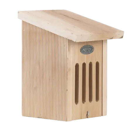 Vlinderkast in cadeauverpakking - afbeelding 6