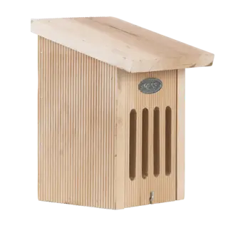 Vlinderkast in cadeauverpakking - afbeelding 6