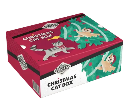 Voskes Christmas Cat Box