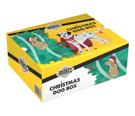 Voskes Christmas Dog Box