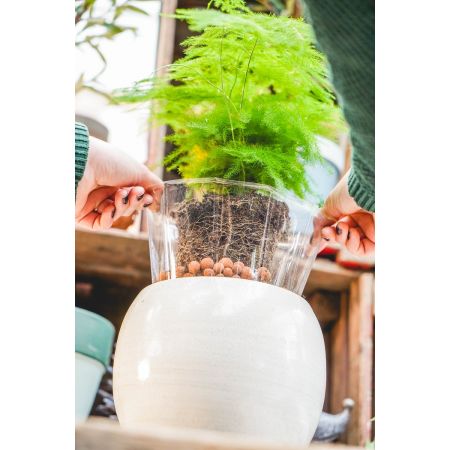 Binnenpot plastic inlay lucas met pot en plant