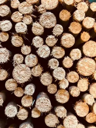 Wilgenmat Premium 1x3m - afbeelding 3