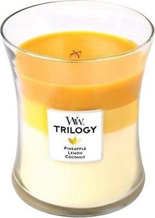 WoodWick kaars Trilogy Fruits Of Summer Medium