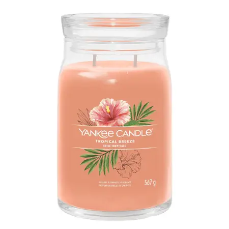 Yankee Candle Signature Tropical Breeze Large Jar