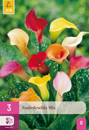Zantedeschia Mix 3st