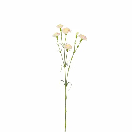 Zijdebloem Anjer L66cm Creme