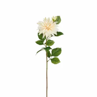 Zijdebloem Dahlia L74cm Creme