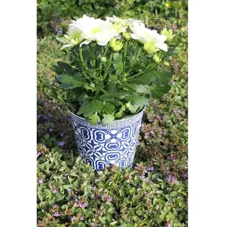 Zinken Pot Madeira Ø17,5 x  H16,5 cm - Blauw Motief - afbeelding 2